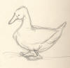 Avatar von andreas4875