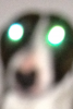 Avatar von dizzy